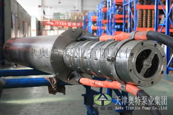 特殊定制不锈钢潜水泵316L厂家直销