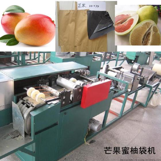 文旦柚纸质套袋加工设备玉环柚子果袋机